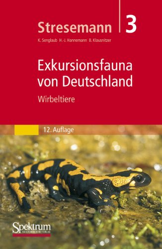 Exkursionsfauna von Deutschland, 3 Bde., Bd.3, Wirbeltiere von Spektrum Akademischer Verlag